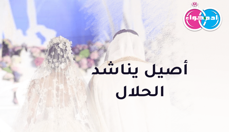 شاوي أصيل يناشد الحلال فمن تستجيب