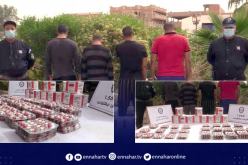 الوادي.. توقيف 4 أشخاص وحجز 1560 قرص مهلوس