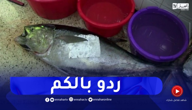 تلفزيون النهار يتقصى في حقيقة أخطار كبد سمك التونة