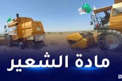 المسيلة: إنطلاق موسم الحصاد و الدرس بمنطقة العرايض