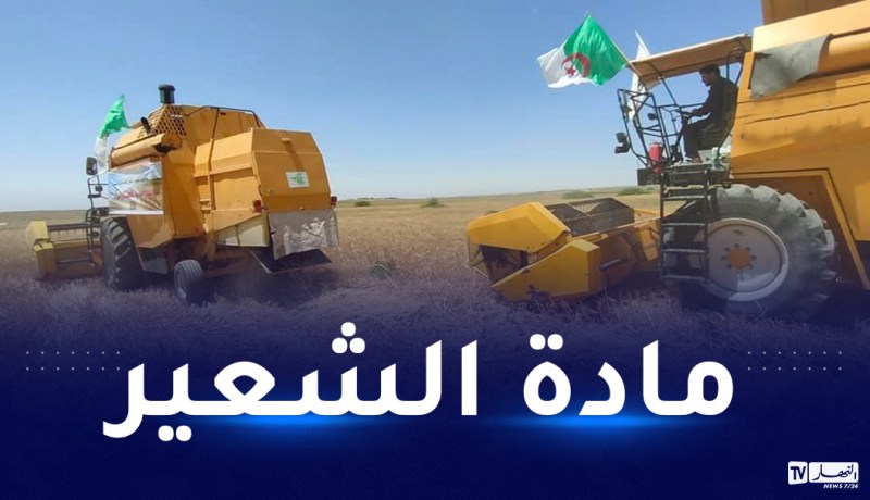 المسيلة: إنطلاق موسم الحصاد و الدرس بمنطقة العرايض