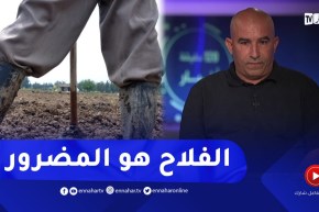 تراجع أسعار الخضر والفواكه..الإتحاد الوطني للتجار والحرفيين يوضح!