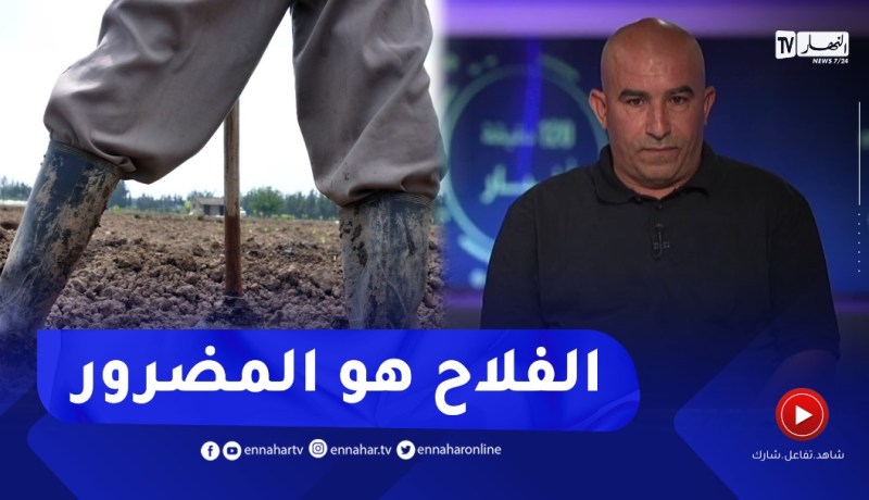 تراجع أسعار الخضر والفواكه..الإتحاد الوطني للتجار والحرفيين يوضح!