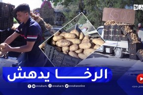 بحثا عن أسعار رحيمة.. الباعة المتجولين وجهة مواطنين لإقتناء البطاطا