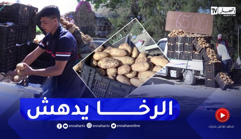 بحثا عن أسعار رحيمة.. الباعة المتجولين وجهة مواطنين لإقتناء البطاطا