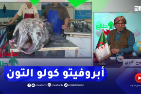 طالع هابط: النوي يتوغل في سوق السمك ويكشف حقيقة سمكة التونة