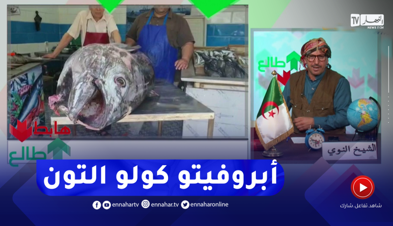 طالع هابط: النوي يتوغل في سوق السمك ويكشف حقيقة سمكة التونة