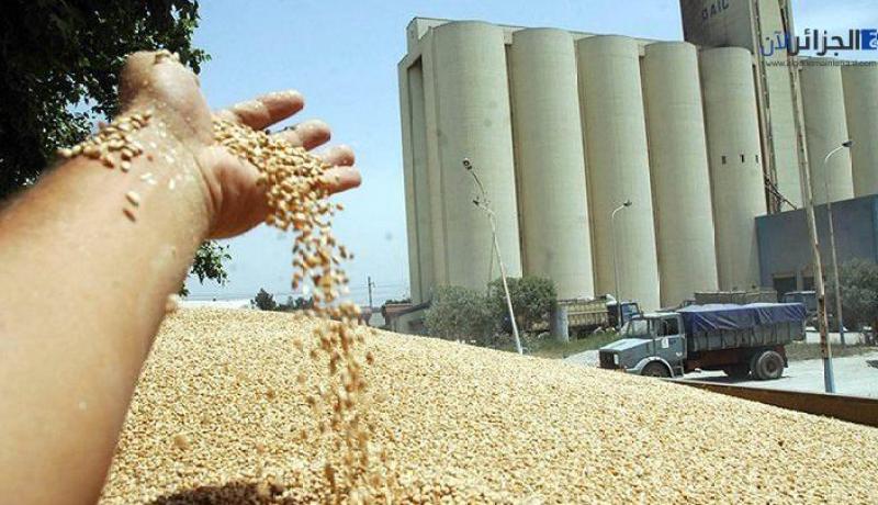 الحبوب.. منظمة الفاو ترفع توقعاتها للإنتاج العالمي  في 2022