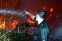 تجنيد أزيد من 3 آلاف عون غابات لمكافحة الحرائق