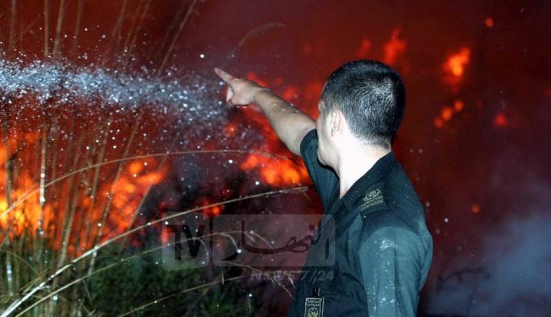 تجنيد أزيد من 3 آلاف عون غابات لمكافحة الحرائق