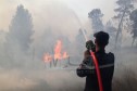 الحماية المدنية تعلن إخماد جميع حرائق الغابات