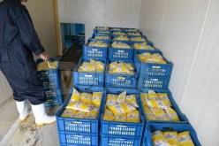 دخول المنصة الرقمية لمتابعة الحليب المدعم حيّز الخدمة بالأسابيع القادمة