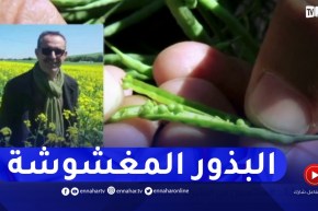 البذور المغشوشة..المختصون في إستيراد السلجم الزيتي يوضحون