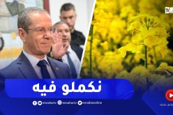 وزير الفلاحة: لن نتخلى عن السلجم الزيتي.. وهذا ما قاله عن البذور المغشوشة