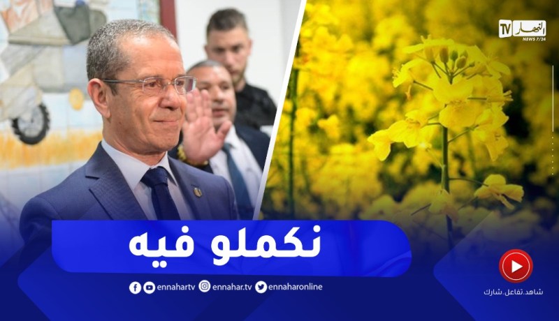 وزير الفلاحة: لن نتخلى عن السلجم الزيتي.. وهذا ما قاله عن البذور المغشوشة