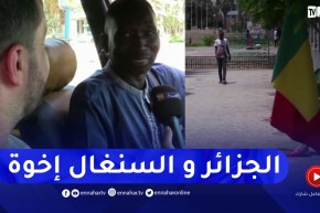 من الإقتصاد للرياضة..هذا ما يعرفه السنغاليون عن الجزائر