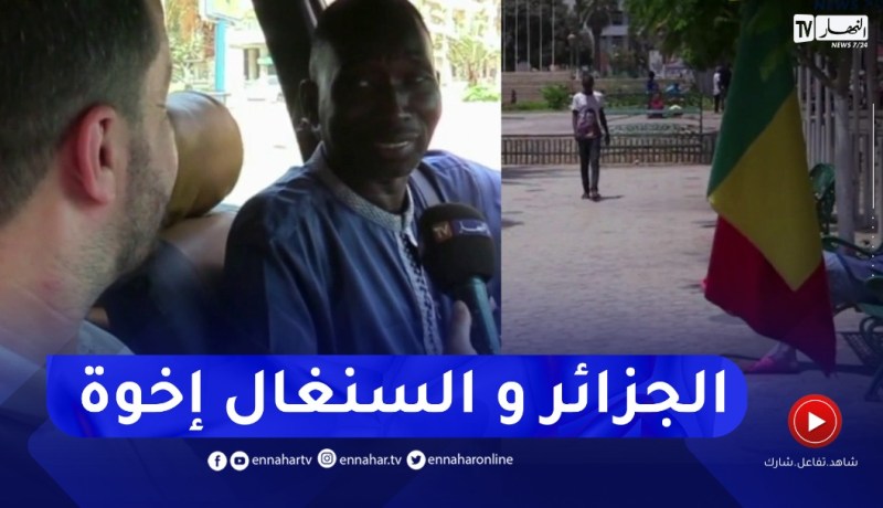 من الإقتصاد للرياضة..هذا ما يعرفه السنغاليون عن الجزائر