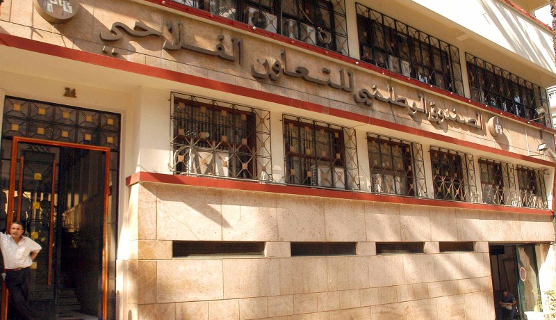 إطارات سابقة بالصندوق الوطني للتعاون الفلاحي أمام العدالة