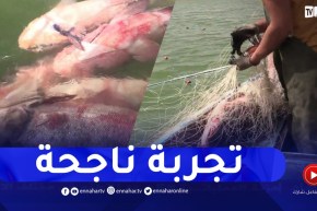 باتنة: عبد السلام.. شاب يخوض تجربة ناجحة في مجال الصيد البحري