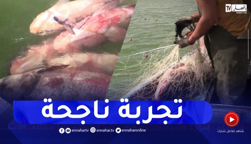 باتنة: عبد السلام.. شاب يخوض تجربة ناجحة في مجال الصيد البحري