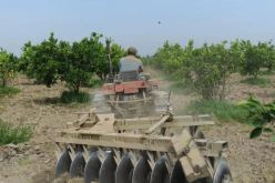 وزير الفلاحة: منح رخص استيراد العتاد بداية من السداسي الثاني