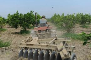 وزير الفلاحة: منح رخص استيراد العتاد بداية من السداسي الثاني