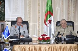 الفريق شنقريحة: الجزائر لطالما دعمت مبادرات المجتمع الدولي.. تندد بسياسة الكيل بمكيالين