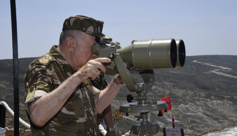 الفريق شنقريحة يشرف على تمرين تكتيكي بالذخيرة الحية بالناحية العسكرية الـ2 بوهران