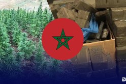 المغرب يتجاوز كولومبيا والمكسيك.. اقتصاد المخدرات يمثل 35٪ من الناتج المحلي