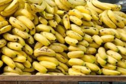 حجز 843 طن من الموز و51 ألف لتر من الزيت خلال أربعة أشهر