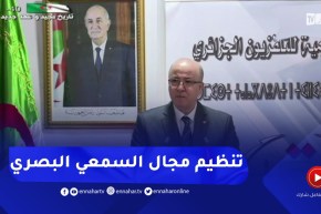 الوزير الأول: الحكومة تعمل على إعادة تنظيم مجال السمعي البصري لإعطائه المكانة التي يستحقها