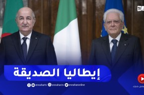 الرئيس تبون: كل ما تريده إيطاليا من ناحية الطاقة نحن مستعدين له