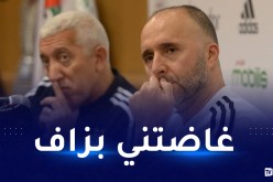 بلماضي: هذا أكثر ما حز في نفسي بعد الهدف الثاني للكاميرون