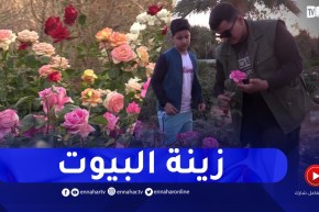 الأغواط: مشاتل بيع ورود الزينة مقصد الباحثين عن لمسة من الطبيعة ببيوتهم