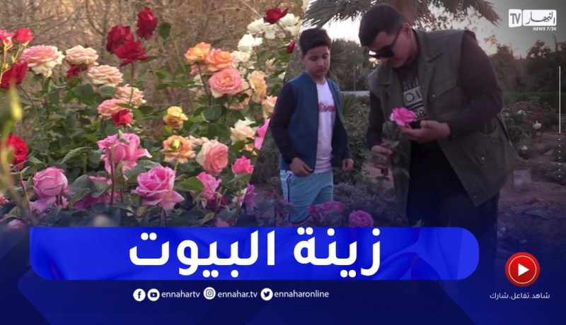 الأغواط: مشاتل بيع ورود الزينة مقصد الباحثين عن لمسة من الطبيعة ببيوتهم