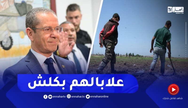 وزير الفلاحة يرد على قضية تخزين المحاصيل..الفلاحين يعرفو كلش