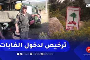 خنشلة: إشتراط الحصول على الترخيص لدخول الغابات لحمايتها من الحرائق