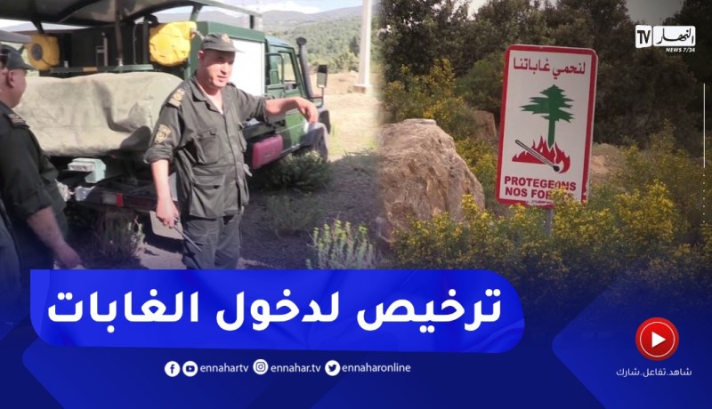 خنشلة: إشتراط الحصول على الترخيص لدخول الغابات لحمايتها من الحرائق