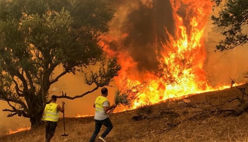 الجزائر تستأجر 6 طائرات إخماد حرائق لهذه الصائفة