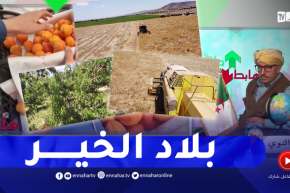 الشيخ النوي: معسكر أرضها تنتج ورجالها منتجين.. قيمة الفلاح لازم تكون عالية