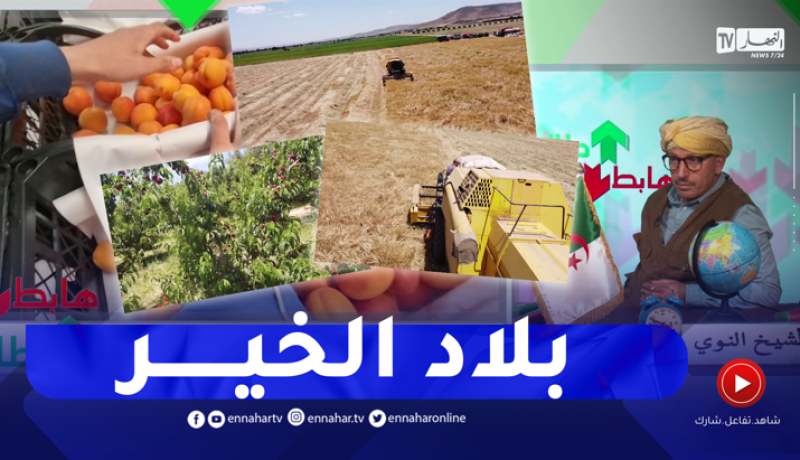 الشيخ النوي: معسكر أرضها تنتج ورجالها منتجين.. قيمة الفلاح لازم تكون عالية