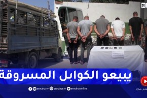 عنابة: توقيف شبكة وطنية مختصة في بيع الكوابل النحاسية المسـروقة