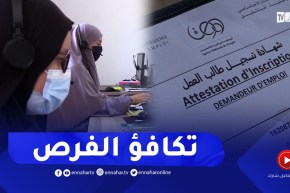 شغل: هذه هي معايير توظيف المرأة في الجزائر