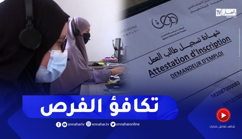 شغل: هذه هي معايير توظيف المرأة في الجزائر