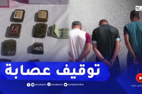 المدية : توقيف عصابة مكونة من 7 أشخاص يروجون للكيف المعالج بقصر البخاري