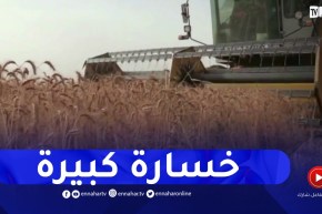 قالمة : ضياع المحصول خلال الحصاد..أسباب عديدة و حلول بسيطة
