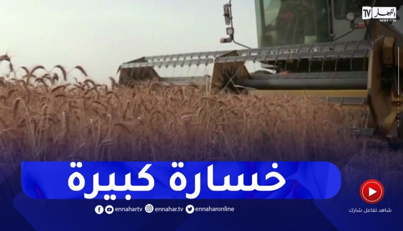 قالمة : ضياع المحصول خلال الحصاد..أسباب عديدة و حلول بسيطة