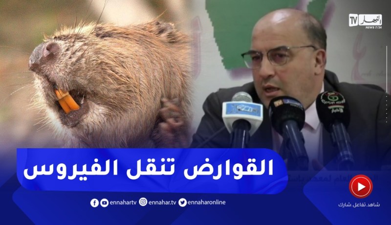 “فوزي درار :” القوارض من أسباب إنتقال جدري القردة للإنسان