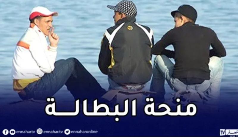 وزير العمل.. دفع منحة البطالة لـ75 بالمائة من طالبي العمل قريبا