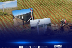 تسييج المستثمرات الفلاحية.. الوزارة تصدر بيانا